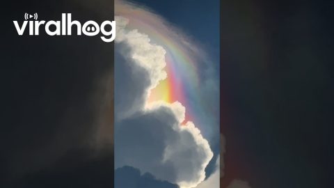 Cloud Iridescence || ViralHog