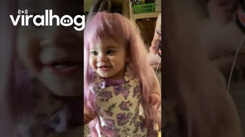 Walking Babydoll || ViralHog