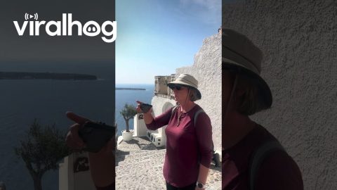 Dream Santorini Proposal Ruined By Snacking Tourists || ViralHog