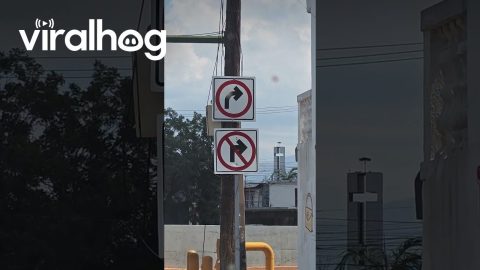 Right Turn Paradox || ViralHog