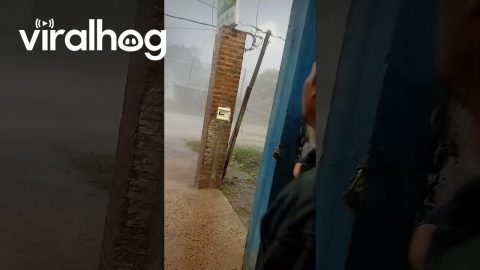 High Speed Winds Blow Over a Brick Post || ViralHog
