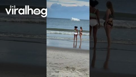 Small Plane Makes Emergency Landing Near Oak Island Pier || ViralHog