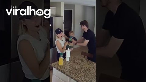 Man Steps in Immediately When Toddler Tests Boundaries || ViralHog