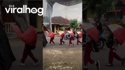 Indonesia's Independence Day || ViralHog