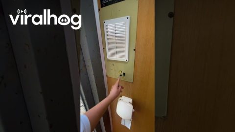 Elevator Toilet || ViralHog