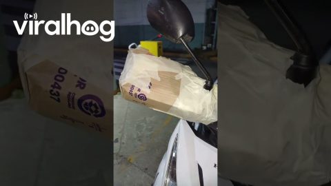 Cardboard Cover Keeps Hands Warmer || ViralHog
