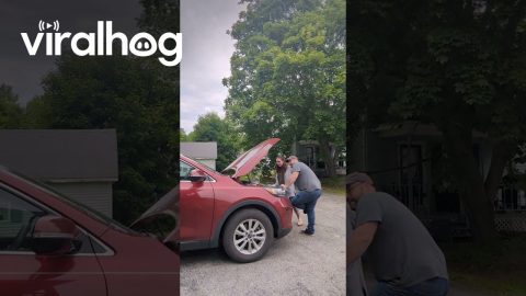 Olive Oil Added To Engine Prank || ViralHog