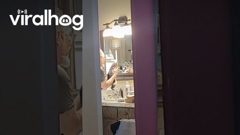 My Dad and the Cat He Didn't Want || ViralHog