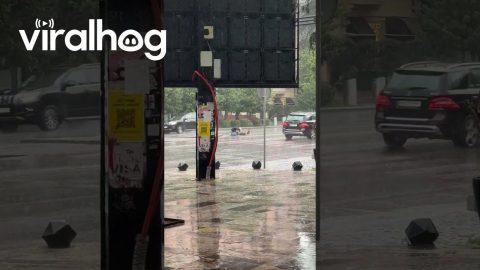 Street Photography In Pouring Rain || ViralHog