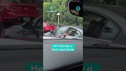 Bro Driving From the Backseat || ViralHog Shorts