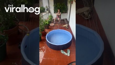 Cute Pool Fountain Turns on Grandma || ViralHog