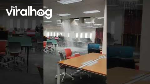 Water Pours in from Library Ceiling || ViralHog