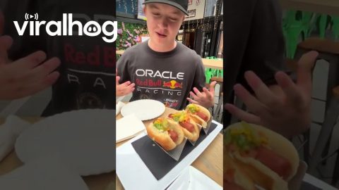 Average-Size Hotdogs || ViralHog