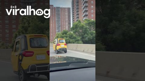 Very Tiny Car Driving in NYC || ViralHog