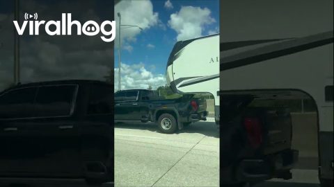 Florida Man RV Setup || ViralHog