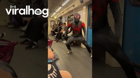 Spider-Man in the Subway || ViralHog
