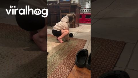 Daughter Discovers Alexa || ViralHog