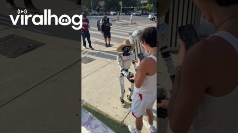 Friendly Robot Says Hello to the Locals || ViralHog