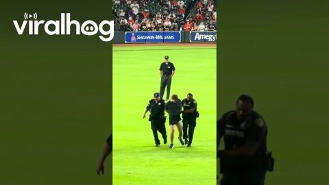Stumbling Fan Escorted Off Baseball Field || ViralHog
