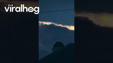 Iridescent Rainbow Peaks Over Clouds || ViralHog