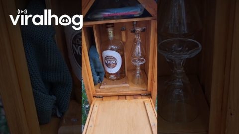 Grappa Found in a Forest in Switzerland || ViralHog