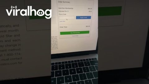 Have to Keep That Code a Secret… || ViralHog