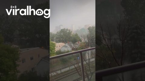 Close Call With Lightning Strike || ViralHog