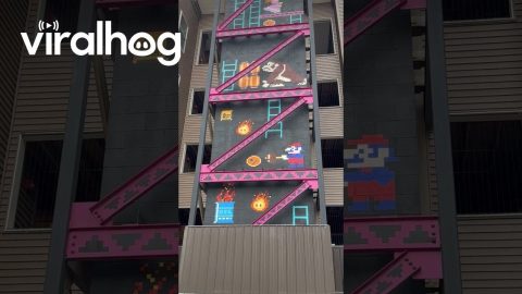 Amazing Donkey Kong Mural in Concord, New Hampshire || ViralHog