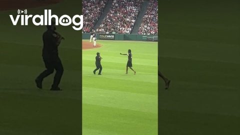 Fan Jumps on Field at Guardians Game || ViralHog