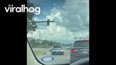 Driver Pulls Into Oncoming Lane at Intersection || ViralHog