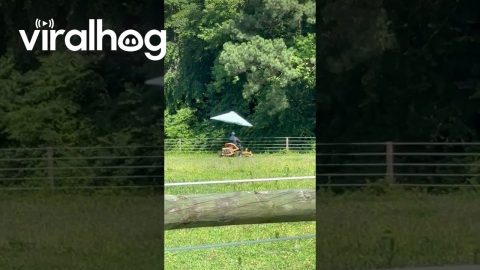 Improvise Cutting Grass in the Heat || ViralHog