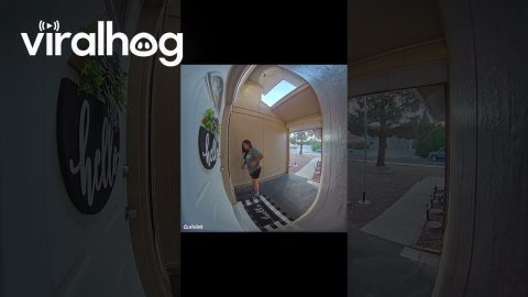 Twin Boys Lock Mom Outside || ViralHog