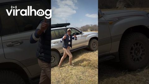 Self-Driving Land Cruiser || ViralHog