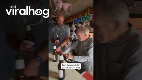 Irv's Amazing Basement Bar || ViralHog