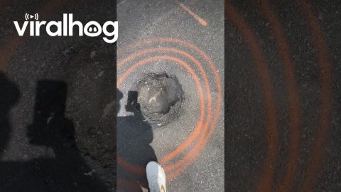 NYC Pothole Emits Steam Like a volcano || ViralHog