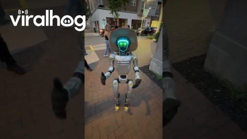 Jake The Rizzbot Doles Out Compliments || ViralHog