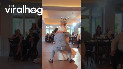 Groom Splits Pants While Lifting Bride || ViralHog