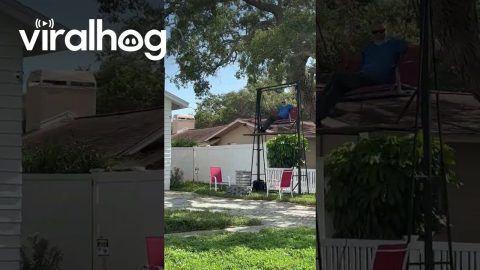 Florida Man Swings on Overly Tall Swing || ViralHog