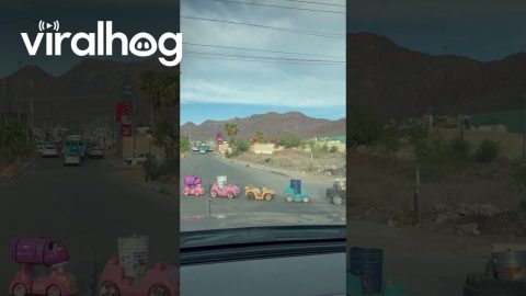 Man Pulls Parade of Cargo || ViralHog