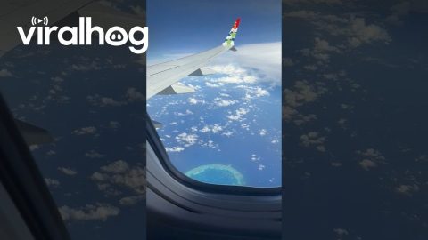 Atoll Seen From an Airplane Window || ViralHog