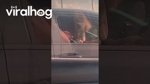 Man Snuggles Pet Squirrel at Stoplight || ViralHog