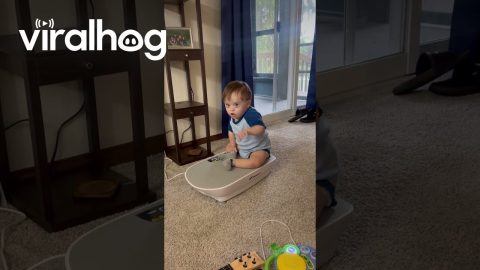 Nightly Wiggle Time || ViralHog