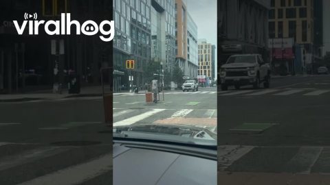 Woman Carries Bookshelf on a Scooter || ViralHog