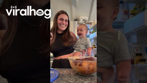 Joy in the Form of Sweet Baby Ray’s || ViralHog