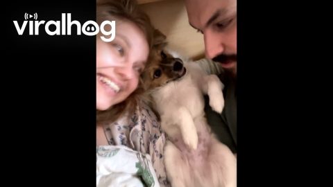 Tima Only Wants Time With Mom || ViralHog