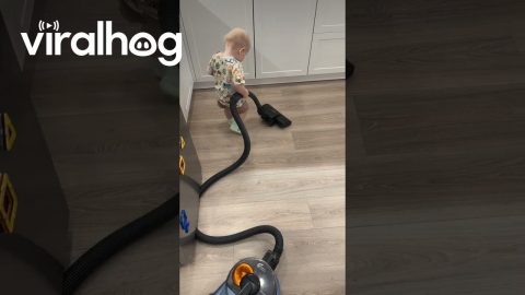 Getting My Son to Help With the Chores || ViralHog