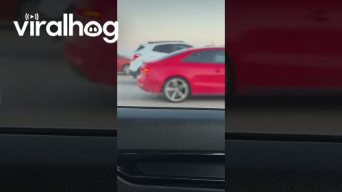 Playing Recorder in Traffic || ViralHog