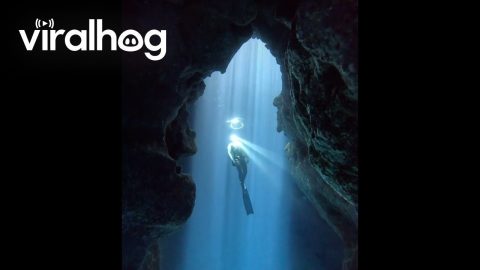 Cave View of a Freediver Swimming Through Bubble Rings || ViralHog