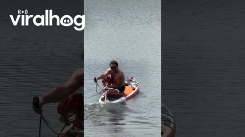 Dicaprio Lookalike Rides Paddle Board || ViralHog