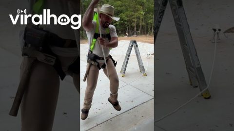 Puppy Helps Harness Safety Demonstration || ViralHog